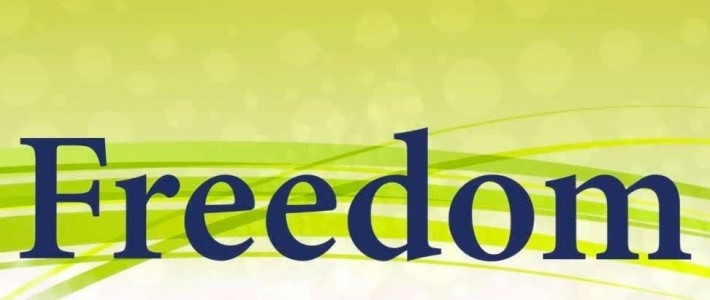 Как скачать Фридом с рут правами и без прав на Андроид?