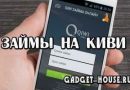 Займ на Киви кошелек без отказов, мгновенно, срочно, онлайн